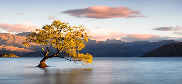 Wanaka